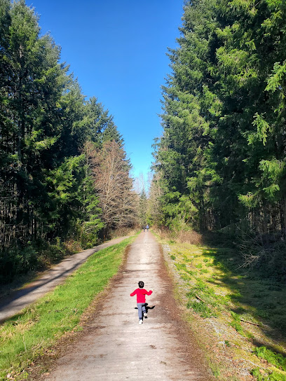 Panther Lake Trail