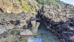 Whites Beach'in fotoğrafı ve güzel manzarası