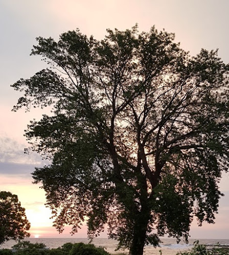 PsykologBornholm: Psyk-Consult v/Kim Møller Hansen Autoriseret Psykolog