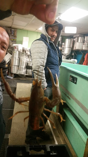 Seafood Market «Mekong Market», reviews and photos, 314 Broad St, Providence, RI 02907, USA