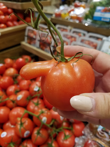 Grocery Store «Lowes Foods of Leland», reviews and photos, 1152 East Cutlar Crossing, Leland, NC 28451, USA