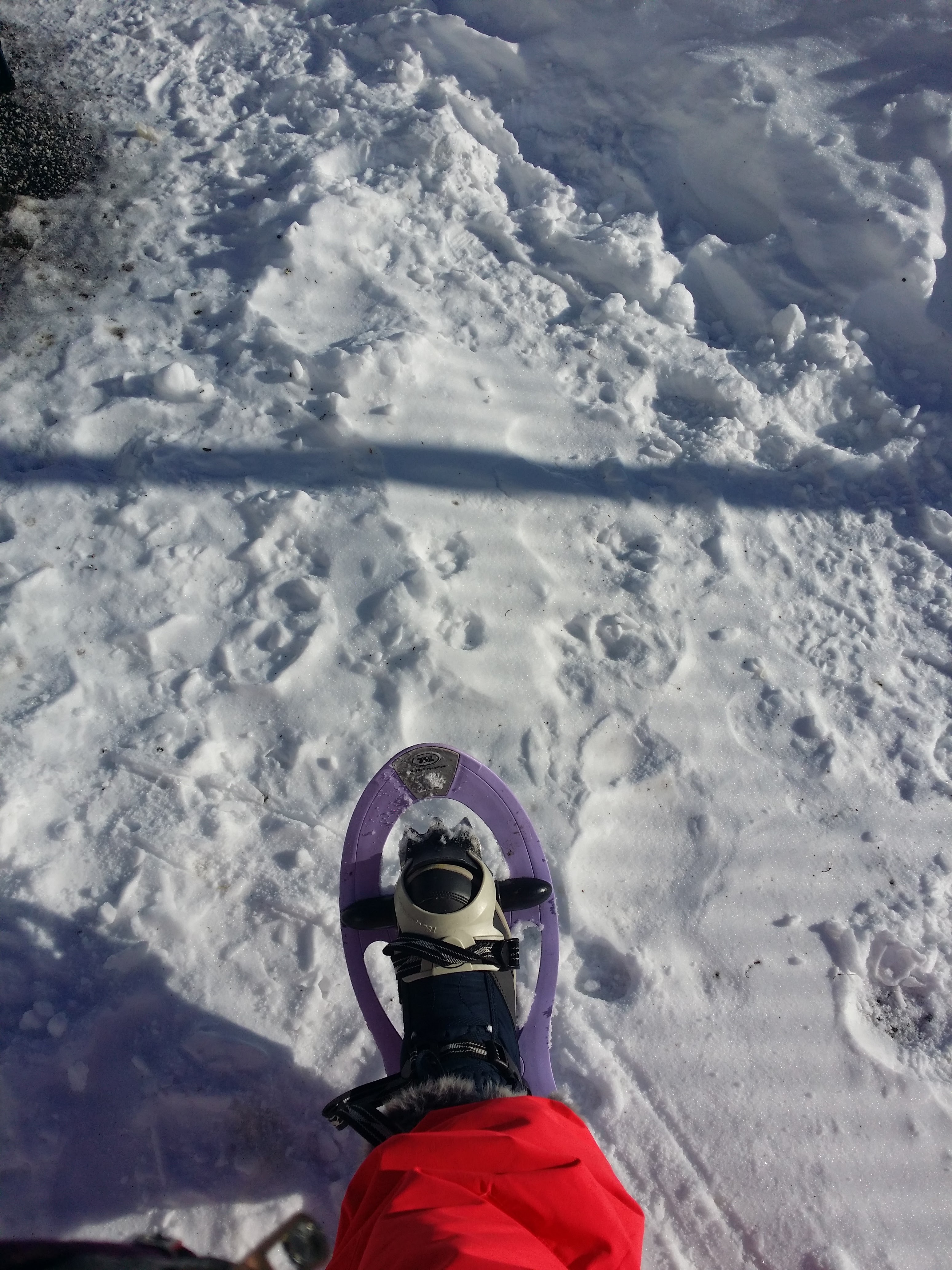 Photo n° 3 de l'avis de Isabelle.u fait le 17/01/2021 à 18:28
