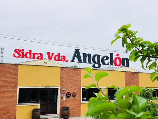 Información y opiniones sobre Sidra Viuda Angelon (Villa) de Nava