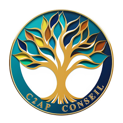 C2AP CONSEIL à Bagnères-de-Bigorre