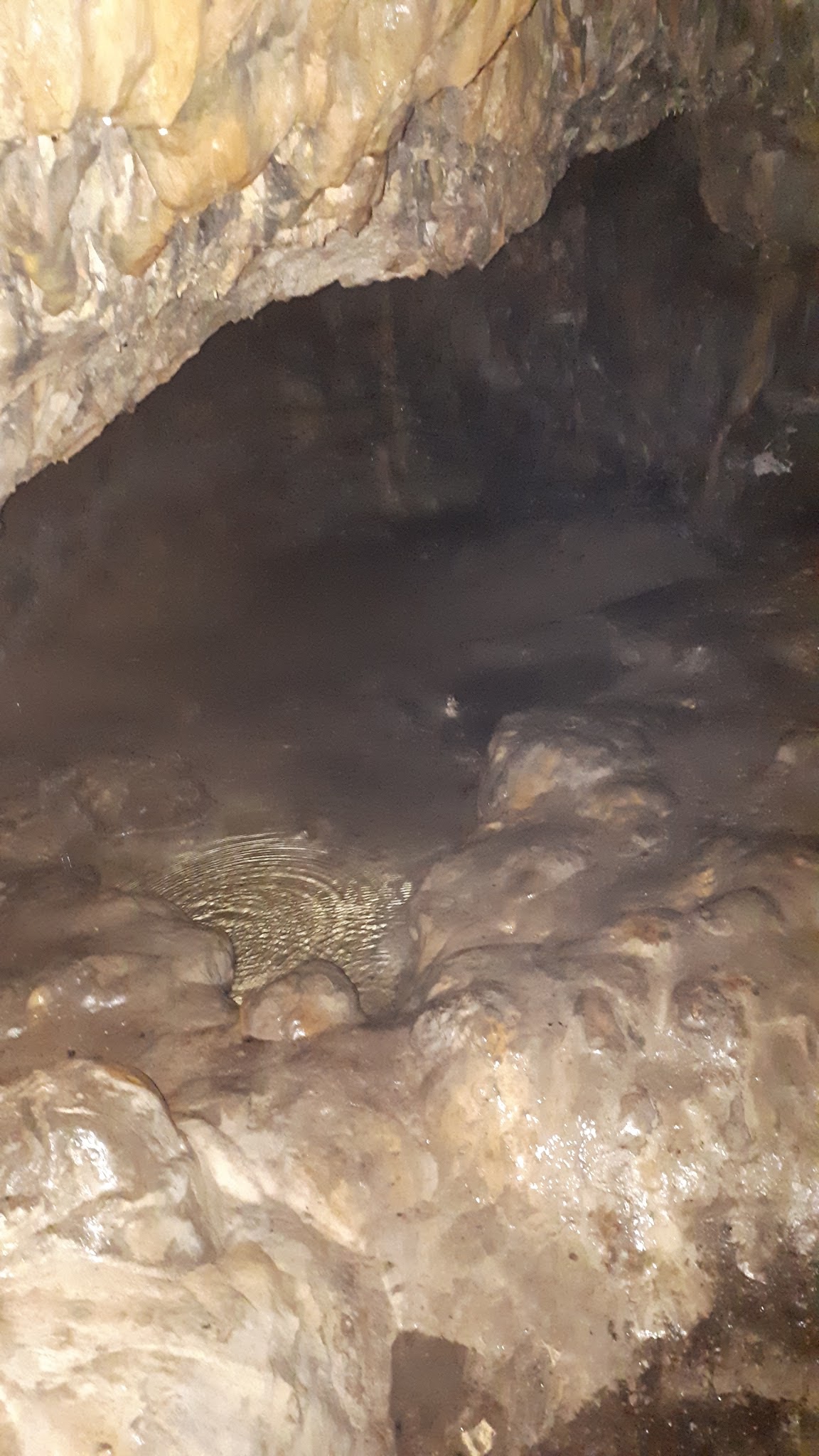Photo n° 3 de l'avis de Jean.a fait le 26/03/2018 à 06:51