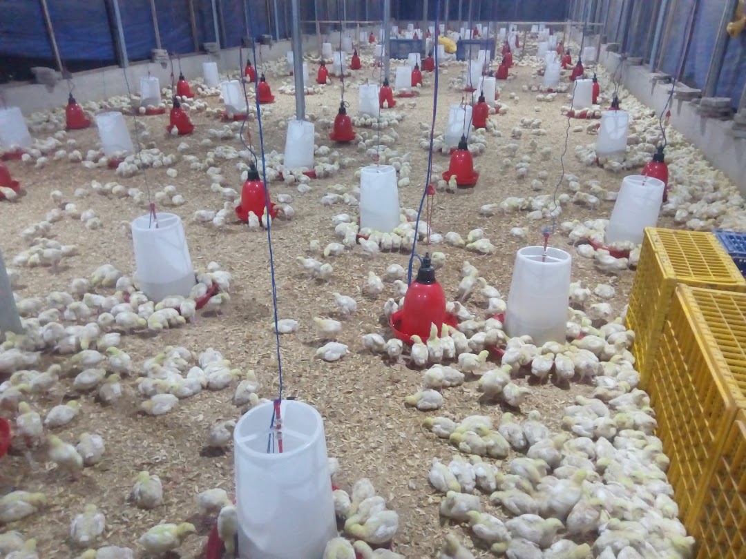 Farm360