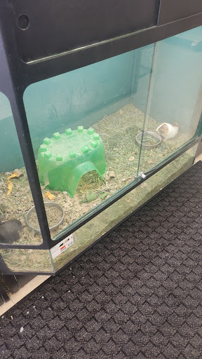 Pet Supply Store «Pet Supplies Plus», reviews and photos, 508 E Stroop Rd, Kettering, OH 45429, USA