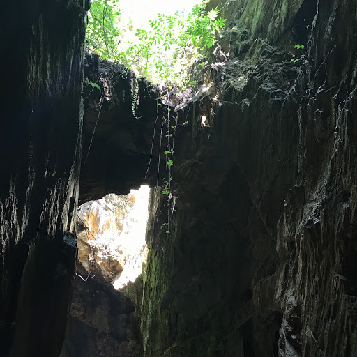 Tourist Attraction «Consolidated Gold Mine», reviews and photos, 185 Consolidated Gold Mine Rd, Dahlonega, GA 30533, USA