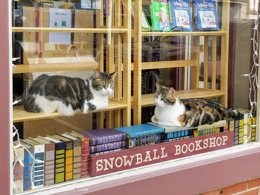 Used Book Store «Snowball Bookshop», reviews and photos, 564 W Tuscarawas Ave # 102, Barberton, OH 44203, USA