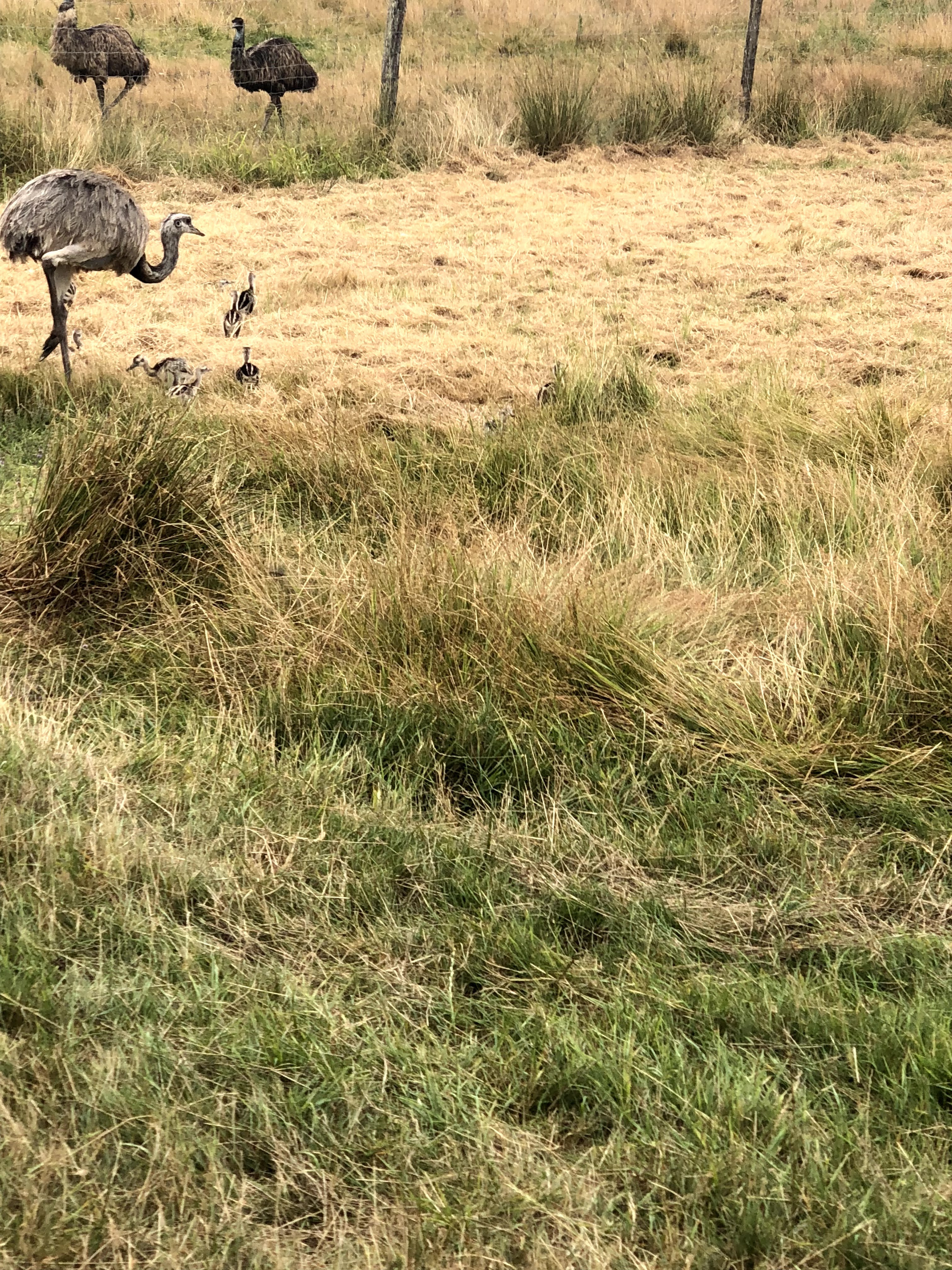 Photo n° 44 de l'avis de Julien.o fait le 27/07/2018 à 17:41