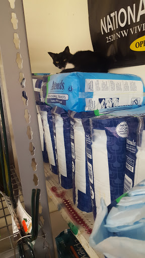 Thrift Store «Animals In Need Thrift Store», reviews and photos, 2520 NE Vivion Rd, Kansas City, MO 64118, USA