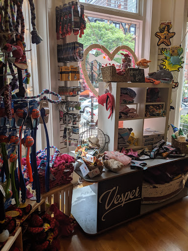 Pet Supply Store «The Fish & Bone, Boston MA», reviews and photos, 217 Newbury St, Boston, MA 02116, USA