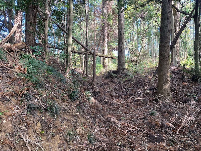 高田城跡