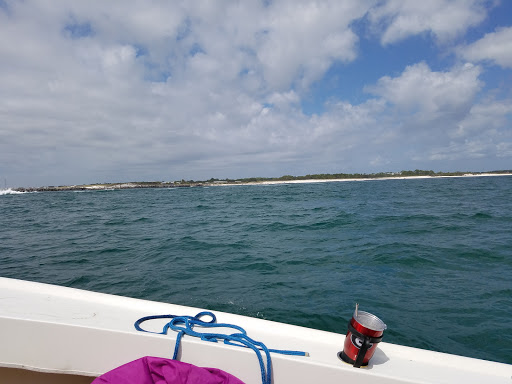 Tourist Attraction «Shell Island Beach», reviews and photos, 4607 State Park Ln, Panama City, FL 32408, USA