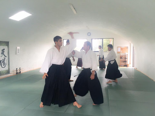 Seirenkan Tendoryu Aikido
