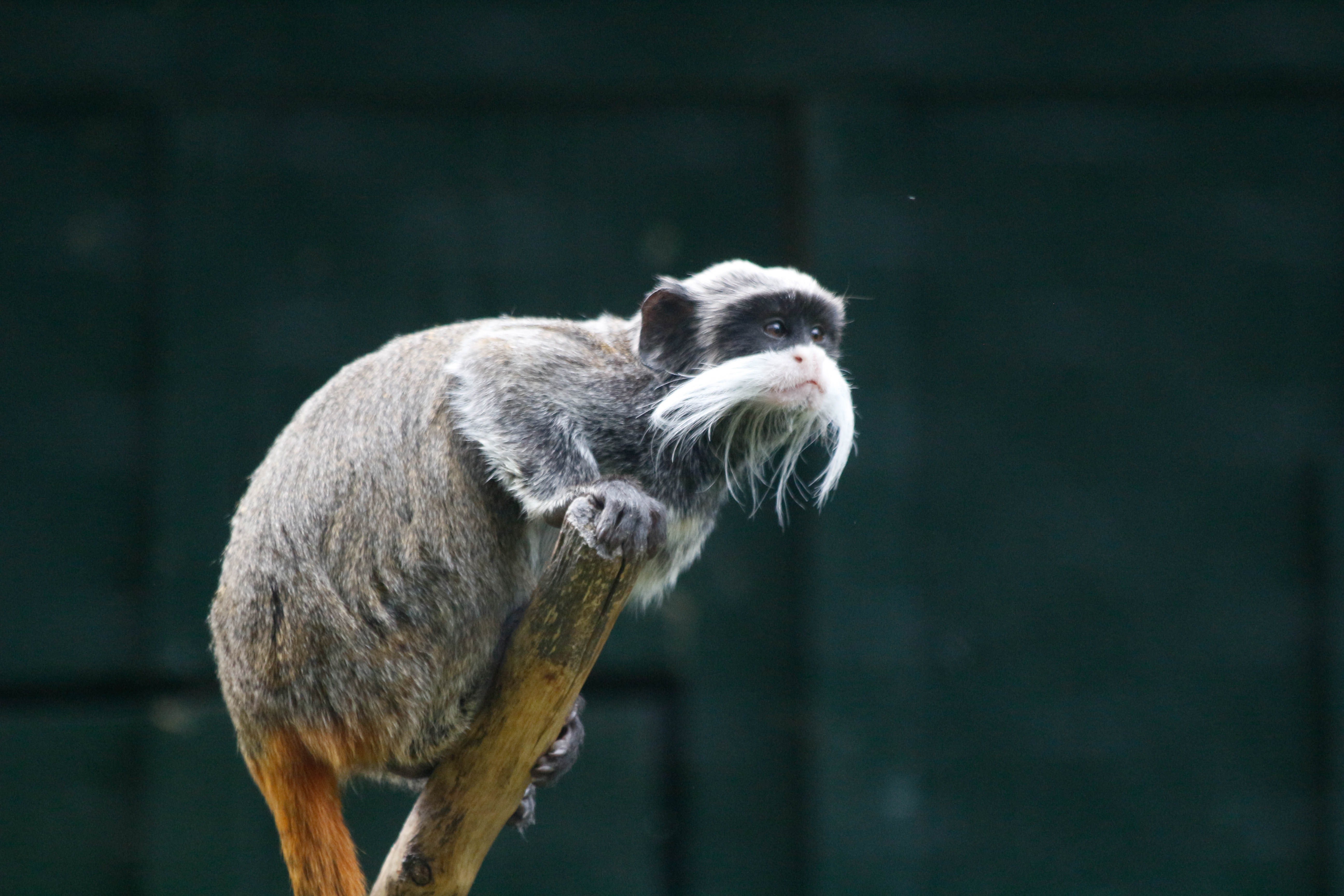 Photo n° 13 de l'avis de Laurent. fait le 05/08/2022 à 12:06
