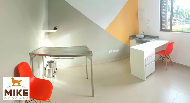 R. Paulo Gorski, 1020 - Mossunguê, Curitiba - PR, 81210-220, Brasil