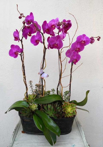 Florist «The Enchanted Florist», reviews and photos, 107 S Glassell St, Orange, CA 92866, USA