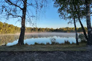 Teverener Heide image