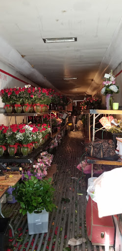 Florist «Flowerama», reviews and photos, 5404 Babcock Rd, San Antonio, TX 78240, USA