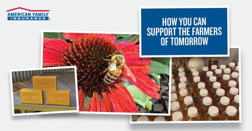 Insurance Agency «American Family Insurance - Will Anderson Agency Inc.», reviews and photos