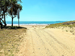 Zdjęcie Armstrong Beach z poziomem czystości wysoki