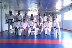 Karate Campinas/Gilson Gomes image