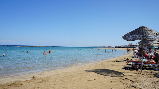 Palm beach