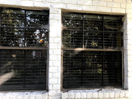Eco Green Window & Solar Panel Cleaning