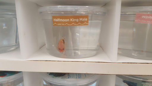 Pet Supply Store «Petco Animal Supplies», reviews and photos, 3055 Columbia Blvd #117, Titusville, FL 32780, USA