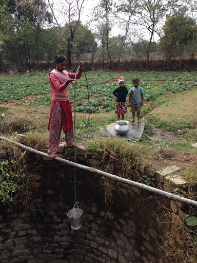 Gym «Iron Tribe Fitness Redmond», reviews and photos, 8451 164th Ave NE #100, Redmond, WA 98052, USA