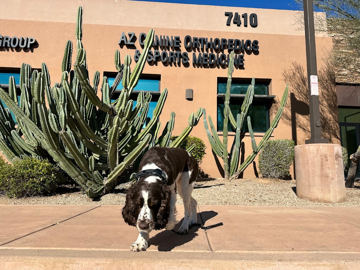 Animal Specialty Group of Scottsdale