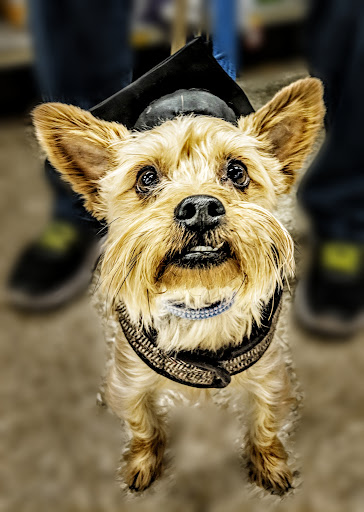 Pet Supply Store «PetSmart», reviews and photos, 470 Shaw Ave, Clovis, CA 93612, USA