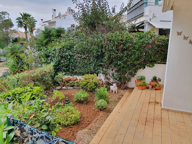 Comentários e avaliações sobre o Antônio Fialho, manutenção de jardins