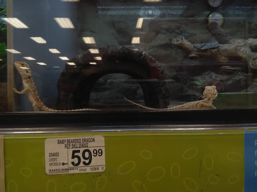 Pet Supply Store «Petco Animal Supplies», reviews and photos, 1425 N Montebello Blvd, Montebello, CA 90640, USA