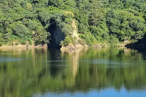 Janauri Dam image