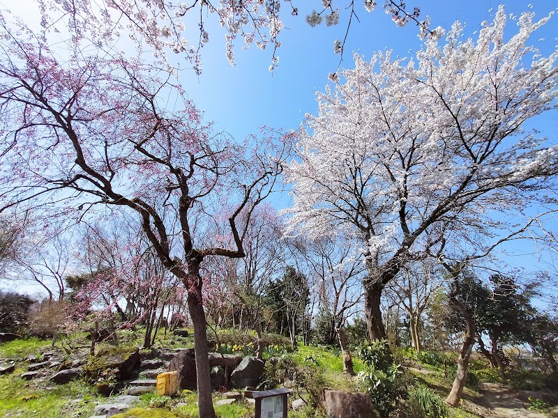 昭和の庭 緑豊園