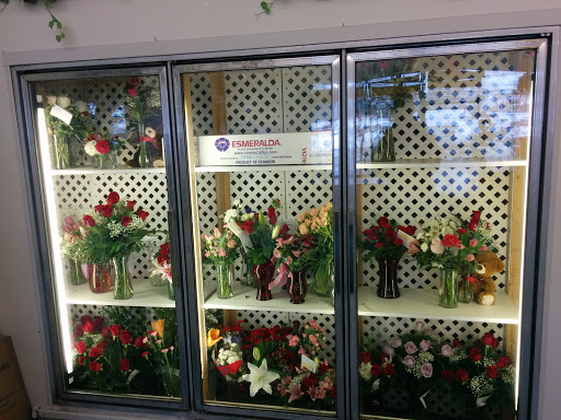 Atlantis Flowers & Gifts, 741 Belmont St, Brockton, MA 02301, USA, 