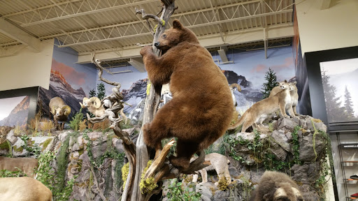 Outdoor Sports Store «Field & Stream», reviews and photos, 800 Brevard Rd #901, Asheville, NC 28806, USA