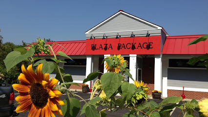 Plaza Package