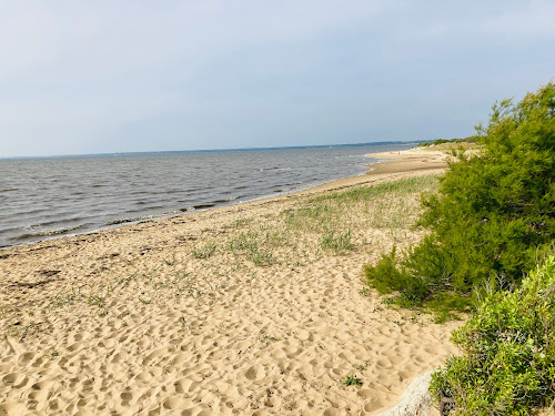 Plage du Teich à Le Teich