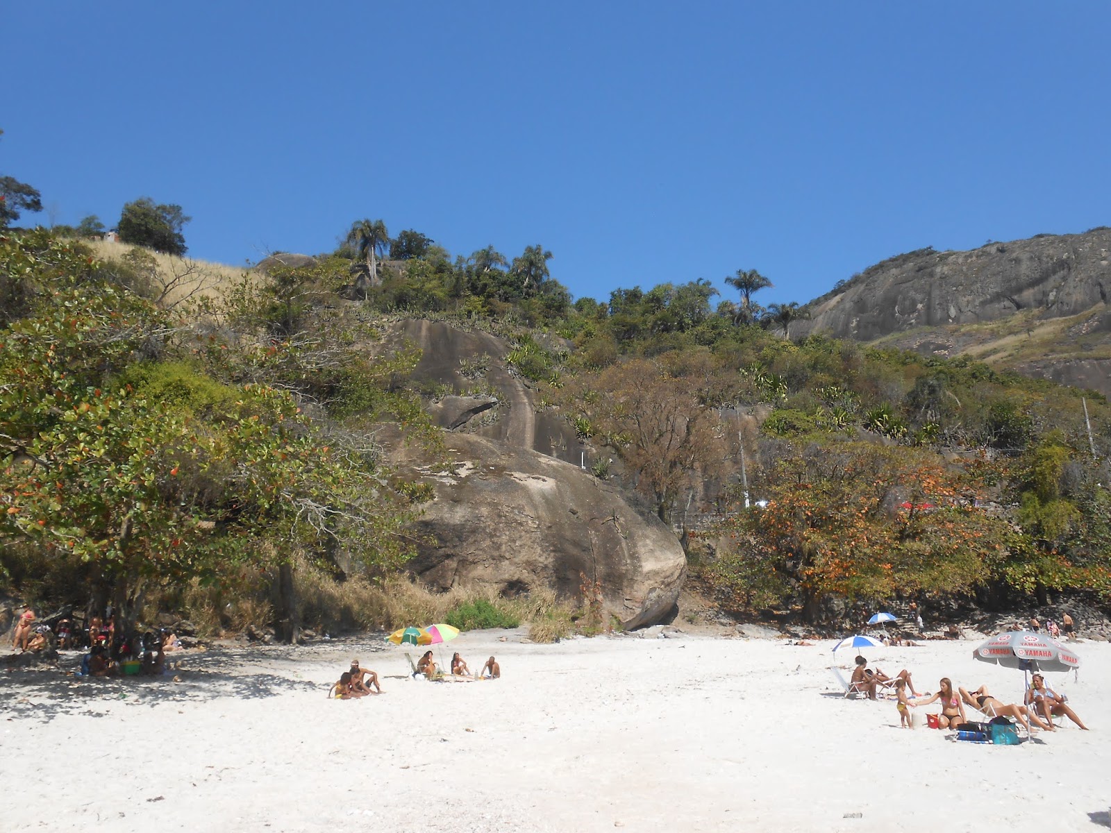 Praia de Adao'in fotoğrafı vahşi alan