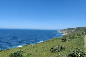 Tomales Point image