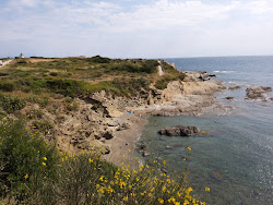 Photo de Platja sota s'Arenella avec un niveau de propreté de très propre