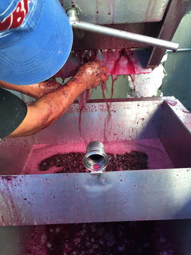 Winery «Stephen & Walker Winery», reviews and photos, 243 Healdsburg Ave, Healdsburg, CA 95448, USA