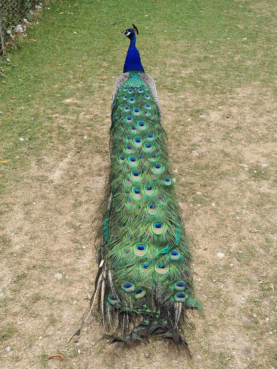 Photo n° 13 de l'avis de Maïté.e fait le 03/08/2022 à 19:24