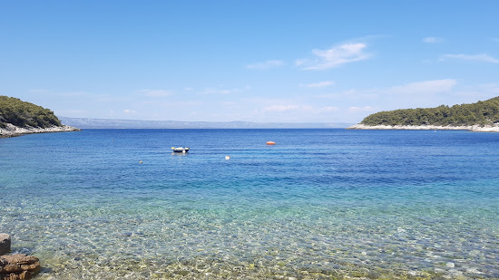 Meduza beach