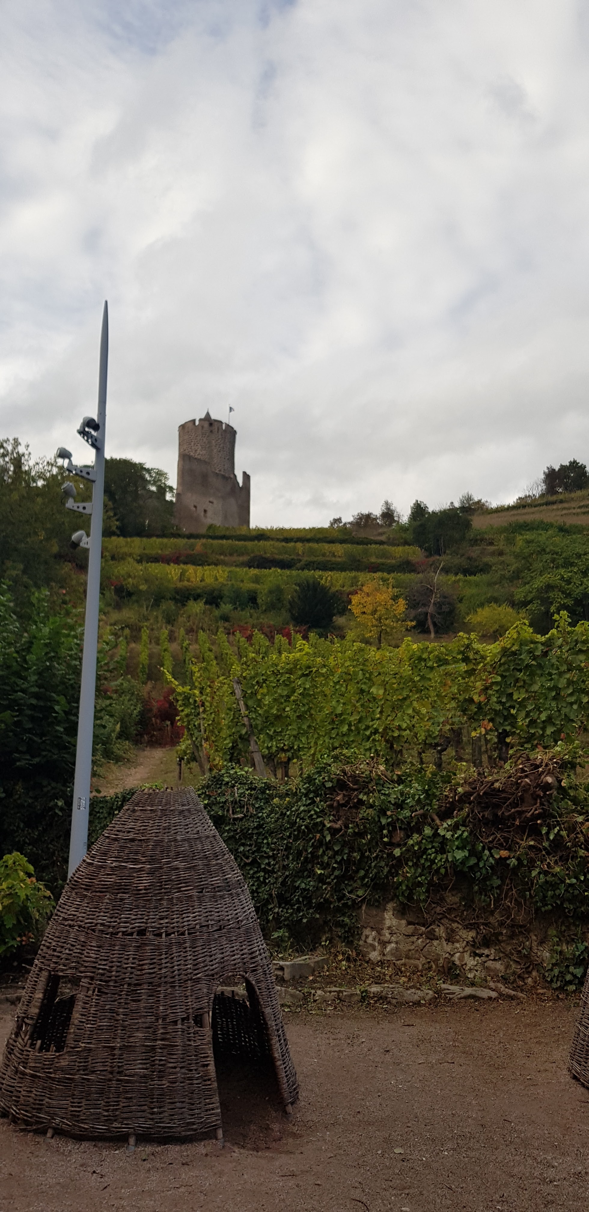 Photo n° 31 de l'avis de Nadine.a fait le 05/10/2021 à 15:20