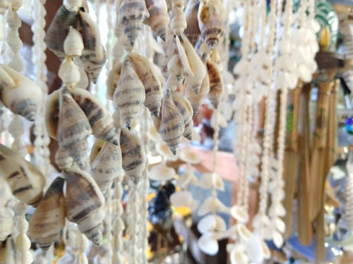 Gift Shop «Sea Shell Shoppe», reviews and photos, 120 N Austin St, Rockport, TX 78382, USA