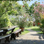 Photo n°10 de l'avis de Manuela.a fait le 29/07/2018 à 18:29 sur le  Buschenschank Weingut Haidenhof à Tscherms